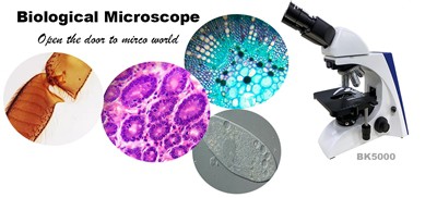 Jak obsługiwać mikroskop biologiczny?